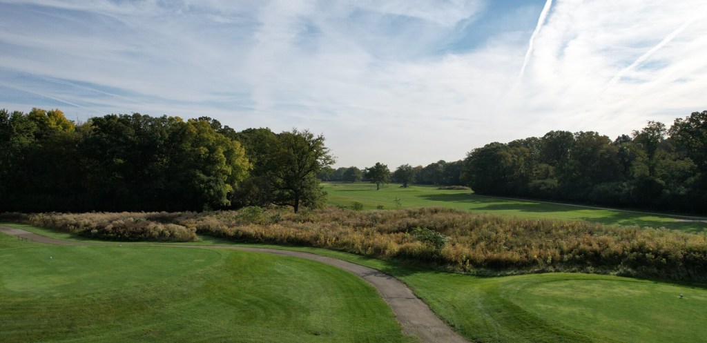 Cart path on golf course