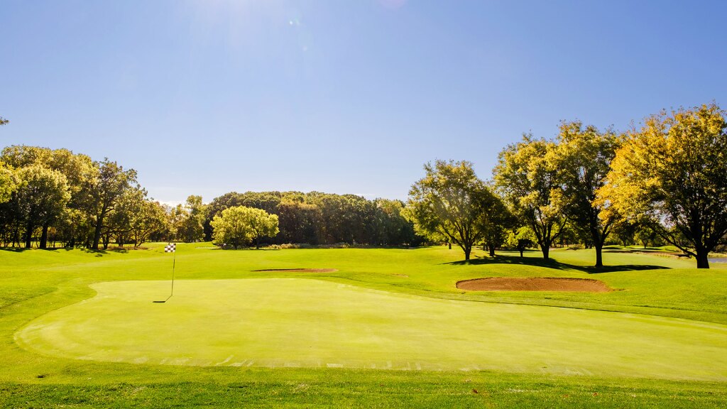 Trees on golf course with bunker in distance