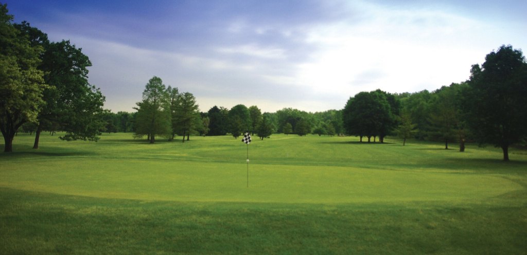 View of golf course green with trees